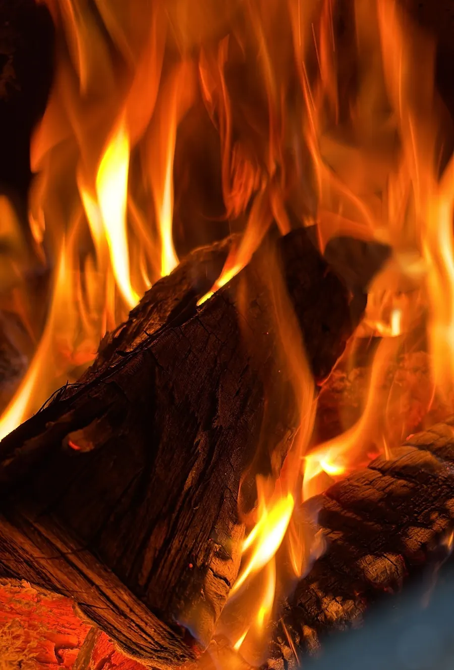 Split logs burning bright orange inside the smoker firebox